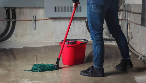 Best Water damage restoration near me  in Allen, TX