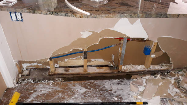 Best Water damage restoration experts  in Allen, TX