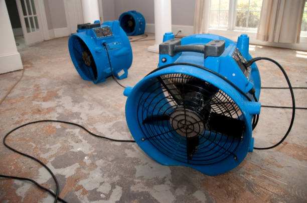 Best 24-hour water damage restoration  in Allen, TX