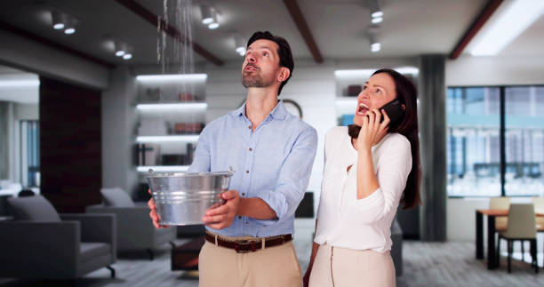 Best Flood damage cleanup  in Allen, TX