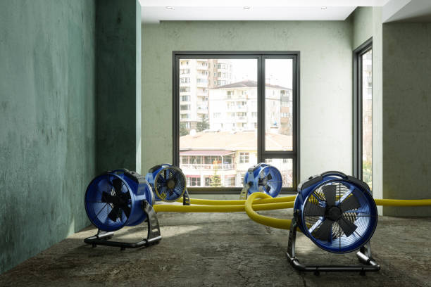 Reliable Allen, TX Water damage restoration Solutions