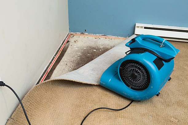  Allen, TX Water damage restoration Pros